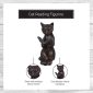 Delightful Cute Cat Figurine for Cat Lovers’ Homes 7