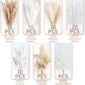 Fluffy Dried Pampas Grass Home Arrangement counts