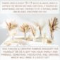 Fluffy Dried Pampas Grass Home Arrangement details