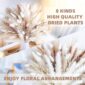 Fluffy Dried Pampas Grass Home Arrangement high quality