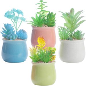 Lifelike Colorful Potted Fake Succulents