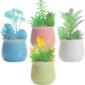 Lifelike Colorful Potted Fake Succulents