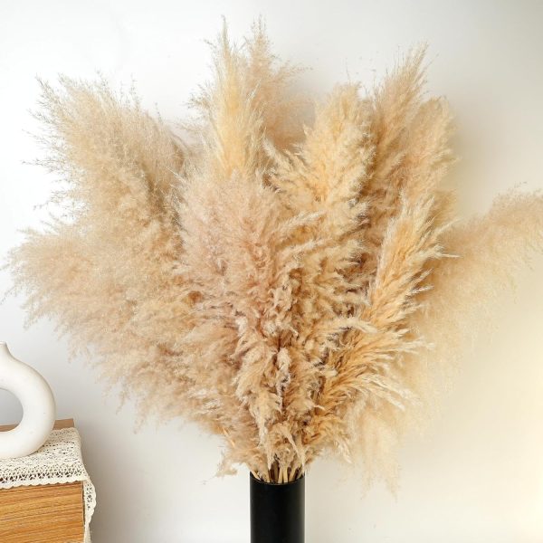 Natural Dried Pampas Grass Decor 40inch10pcs