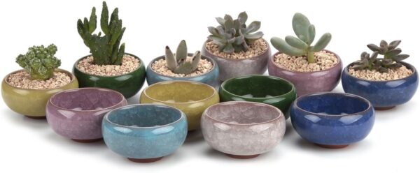 Small Ceramic Succulent Planter Pot 1