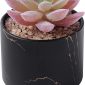 Stylish Artificial Succulent Plants Mini Fake Succulents black