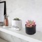 Stylish Artificial Succulent Plants Mini Fake Succulents black decoration1