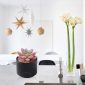 Stylish Artificial Succulent Plants Mini Fake Succulents black decoration2