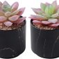 Stylish Artificial Succulent Plants Mini Fake Succulents black set 2