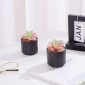 Stylish Artificial Succulent Plants Mini Fake Succulents black set 2 decoration