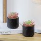 Stylish Artificial Succulent Plants Mini Fake Succulents black set 2 decoration1