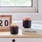 Stylish Artificial Succulent Plants Mini Fake Succulents black set 2 decoration2