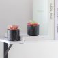 Stylish Artificial Succulent Plants Mini Fake Succulents black set 2 decoration3