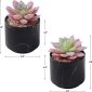 Stylish Artificial Succulent Plants Mini Fake Succulents black set 2 details