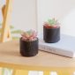 Stylish Artificial Succulent Plants Mini Fake Succulents black set 2 table