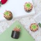 Stylish Artificial Succulent Plants Mini Fake Succulents black set 4 decoration