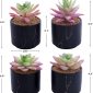 Stylish Artificial Succulent Plants Mini Fake Succulents black set 4 size