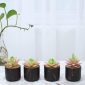 Stylish Artificial Succulent Plants Mini Fake Succulents black set 4 table