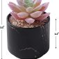 Stylish Artificial Succulent Plants Mini Fake Succulents black size