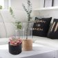 Stylish Artificial Succulent Plants Mini Fake Succulents black table