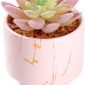 Stylish Artificial Succulent Plants Mini Fake Succulents pink set1