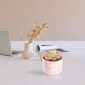 Stylish Artificial Succulent Plants Mini Fake Succulents pink set1 decoration1