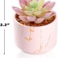 Stylish Artificial Succulent Plants Mini Fake Succulents pink set1 size