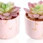 Stylish Artificial Succulent Plants Mini Fake Succulents pink set2