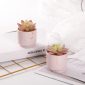 Stylish Artificial Succulent Plants Mini Fake Succulents pink set2 decoration