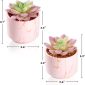 Stylish Artificial Succulent Plants Mini Fake Succulents pink set2 size