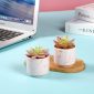 Stylish Artificial Succulent Plants Mini Fake Succulents pink set2 table1