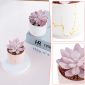 Stylish Artificial Succulent Plants Mini Fake Succulents white pink set2 design