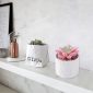 Stylish Artificial Succulent Plants Mini Fake Succulents white set1 decoration1