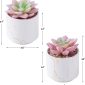 Stylish Artificial Succulent Plants Mini Fake Succulents white set2 size