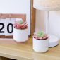 Stylish Artificial Succulent Plants Mini Fake Succulents white set2 table decor1