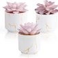 Stylish Artificial Succulent Plants Mini Fake Succulents white set3