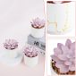 Stylish Artificial Succulent Plants Mini Fake Succulents white set3 design