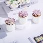 Stylish Artificial Succulent Plants Mini Fake Succulents white set3 table decor