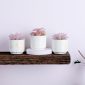 Stylish Artificial Succulent Plants Mini Fake Succulents white set3 table decor1