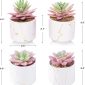 Stylish Artificial Succulent Plants Mini Fake Succulents white set4 size