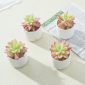 Stylish Artificial Succulent Plants Mini Fake Succulents white set4 table decor1