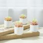 Stylish Artificial Succulent Plants Mini Fake Succulents white set4 table decor2