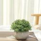 Velener Mini Plastic Artificial Plants Benn Grass in Pot Bonsai-2