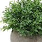 Velener Mini Plastic Artificial Plants Benn Grass in Pot Bonsai-5